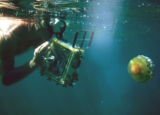  Fotografía submarina 